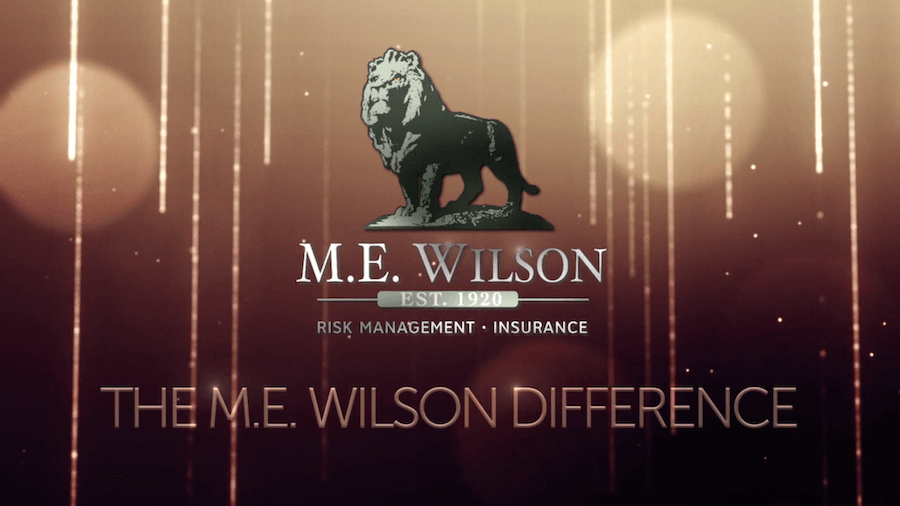 Technology support services for M.E. Wilson - logo